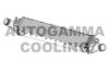 AUTOGAMMA 107540 Intercooler, charger